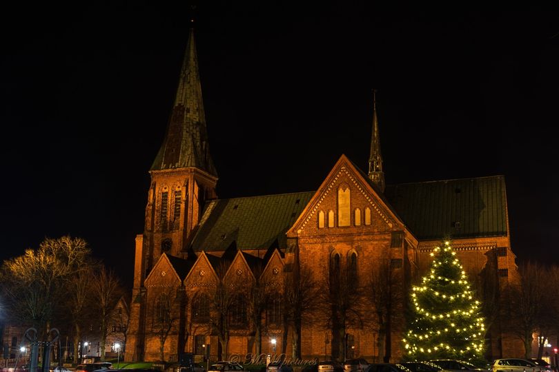 Stimmung am Dom mit Weihnachtsbaum