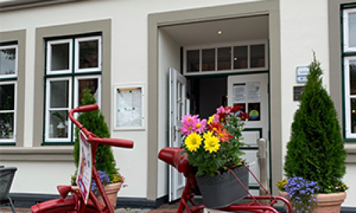 stadtradeln_linde